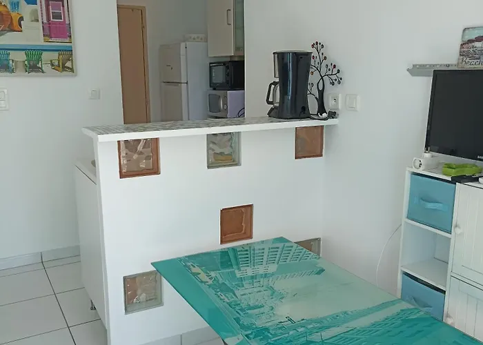 Maisonnette 37 M2 Wi-Fi, Pkg, Clim